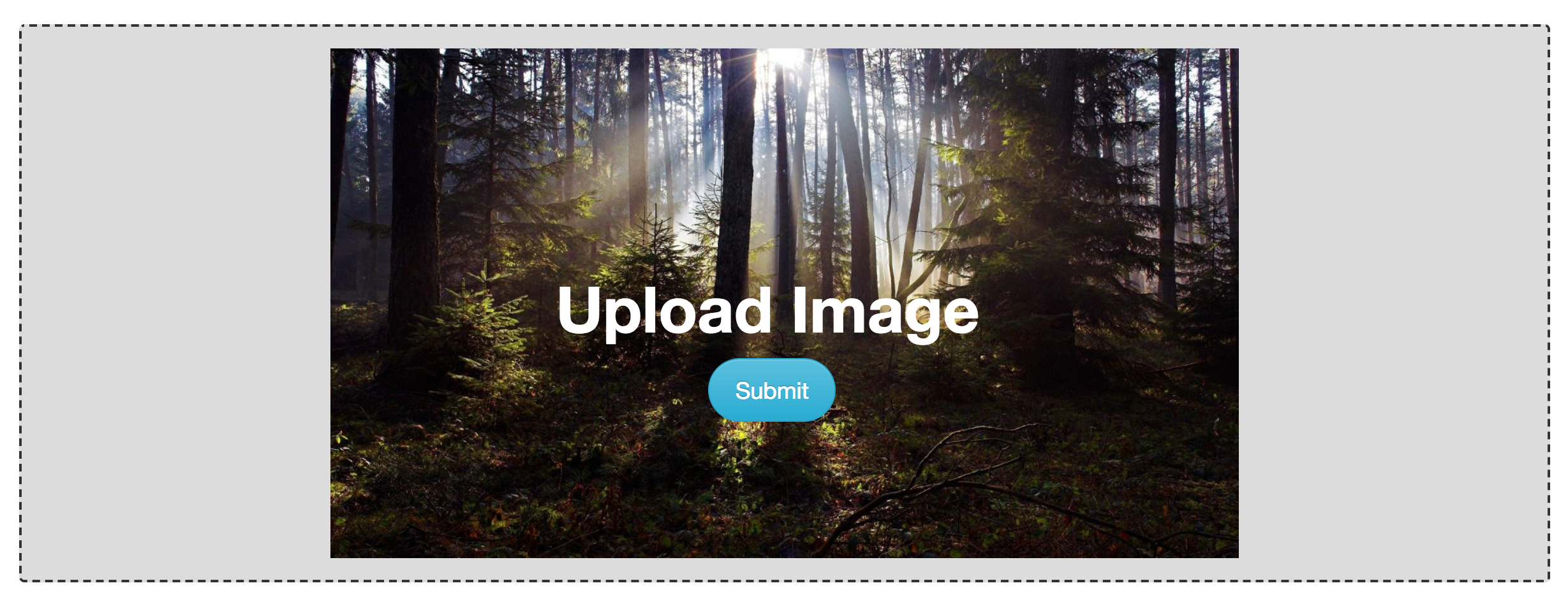 featured project